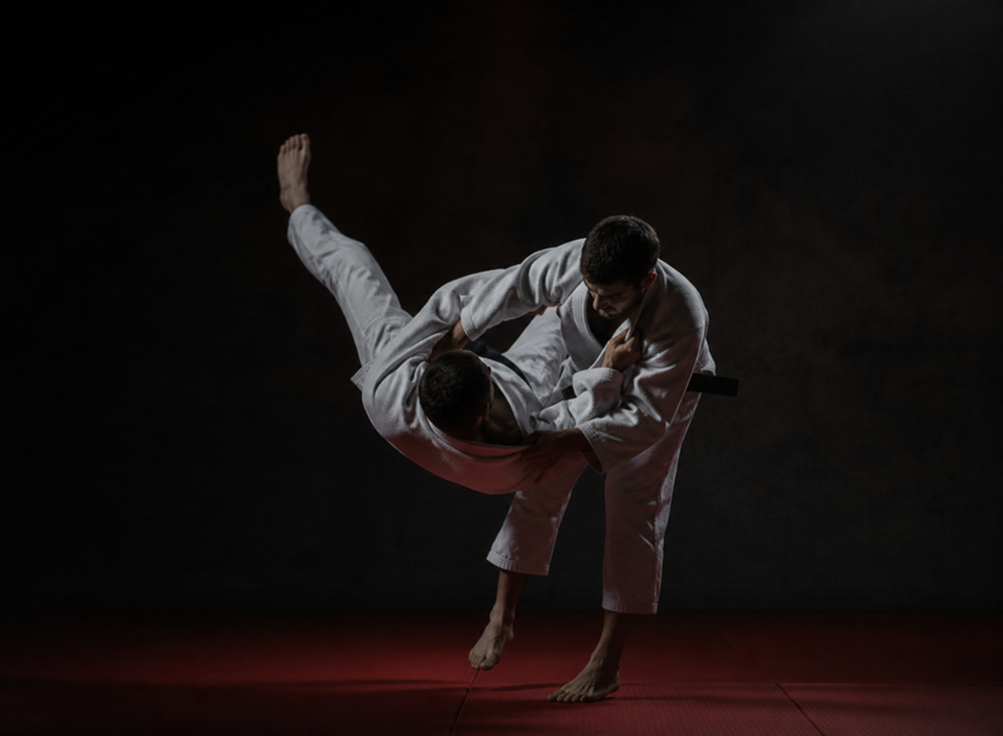 Judo – Kodokan Olsberg